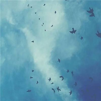 金沙乐娱app下载官网版