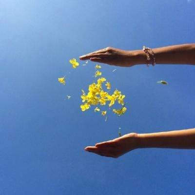 2023澳门资料大全正版手机app下载