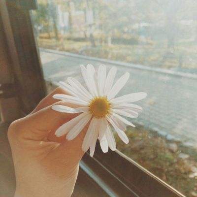 5848vip威尼斯电子游戏下载手机版