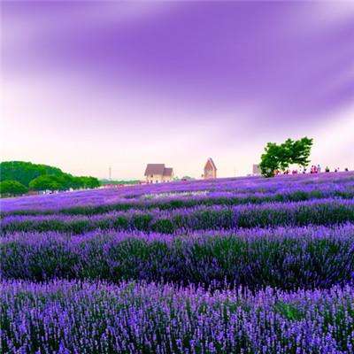 亚虎娱乐app下载手机app下载