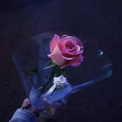 球王会官网注册